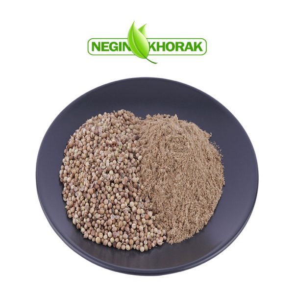 ادویه-تخم-گشنیز